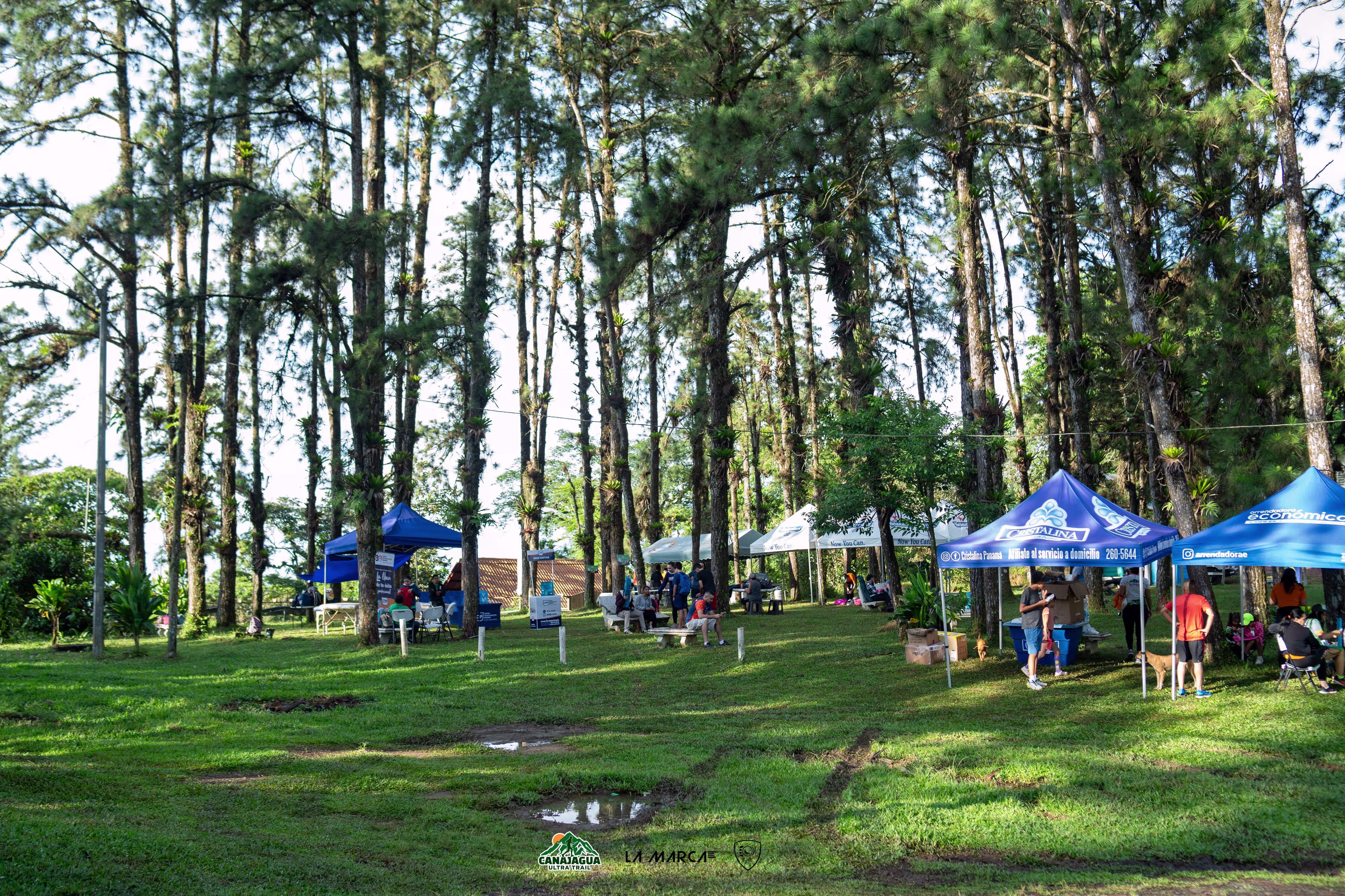 Galería 1